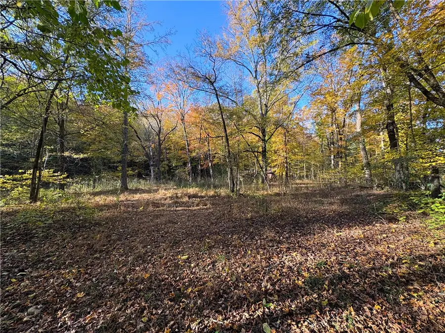 65 Acres Cr 5099, Pettigrew, AR 72752 - #2