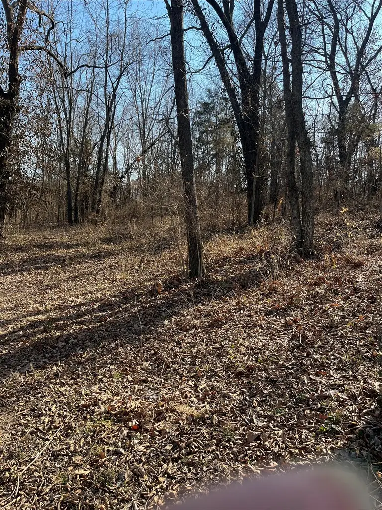 503 Highway 62 Spur, Berryville, AR 72616 - #2