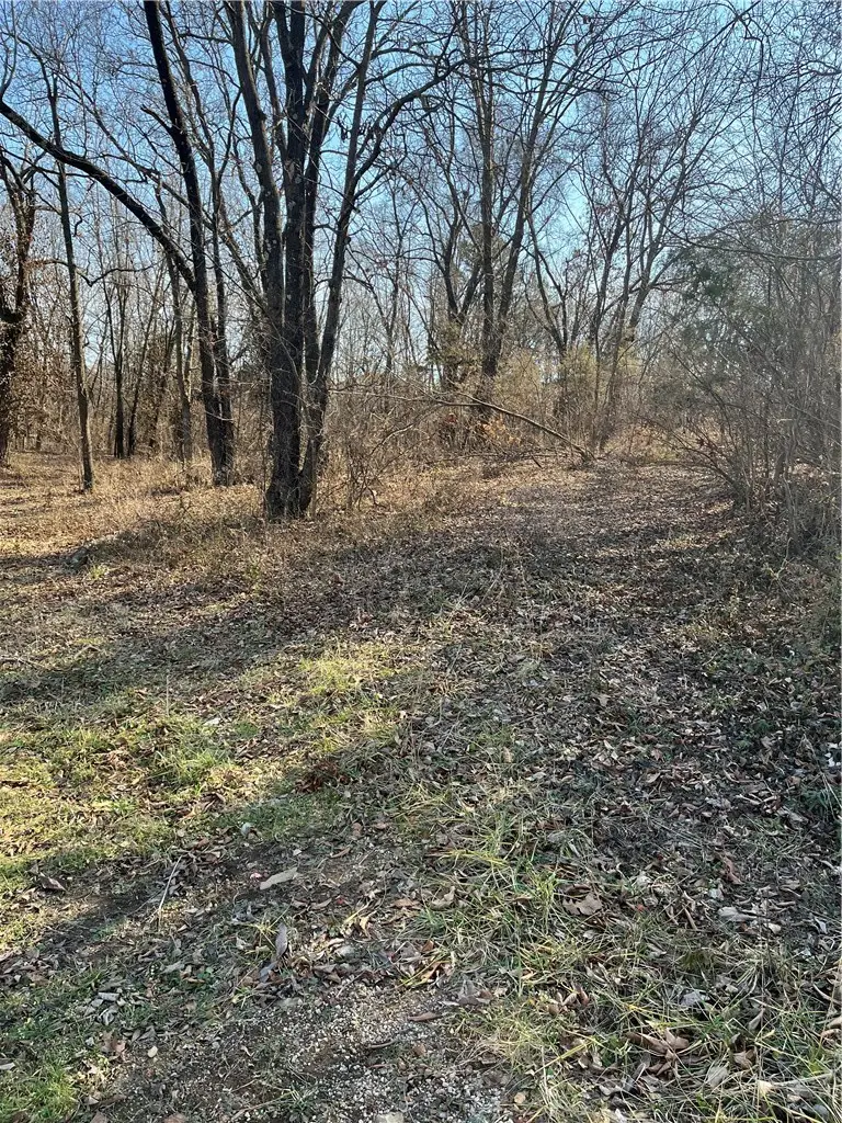 503 Highway 62 Spur, Berryville, AR 72616 - #3