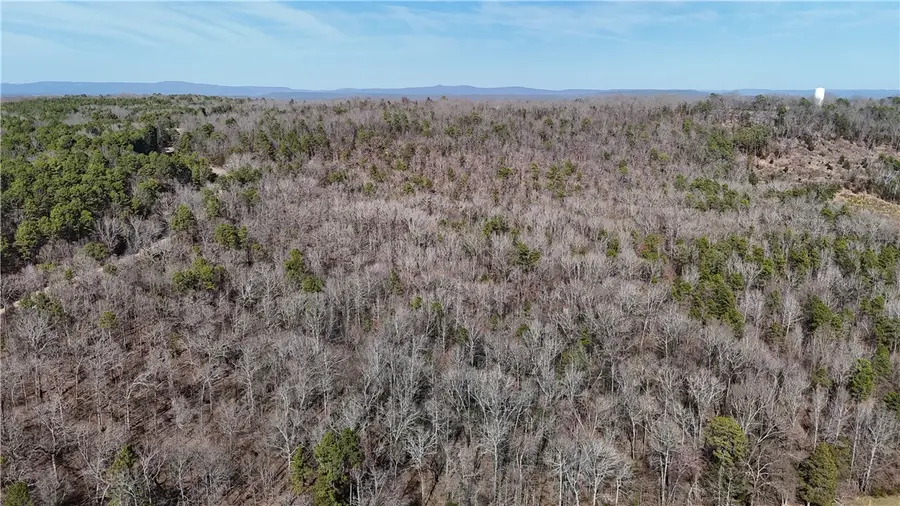 Whorton Mountain Road, London, AR 72847 - #3