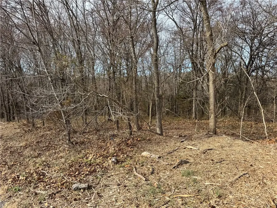 Lot 2 Arden Lane, Bella Vista, AR 72714 - #2