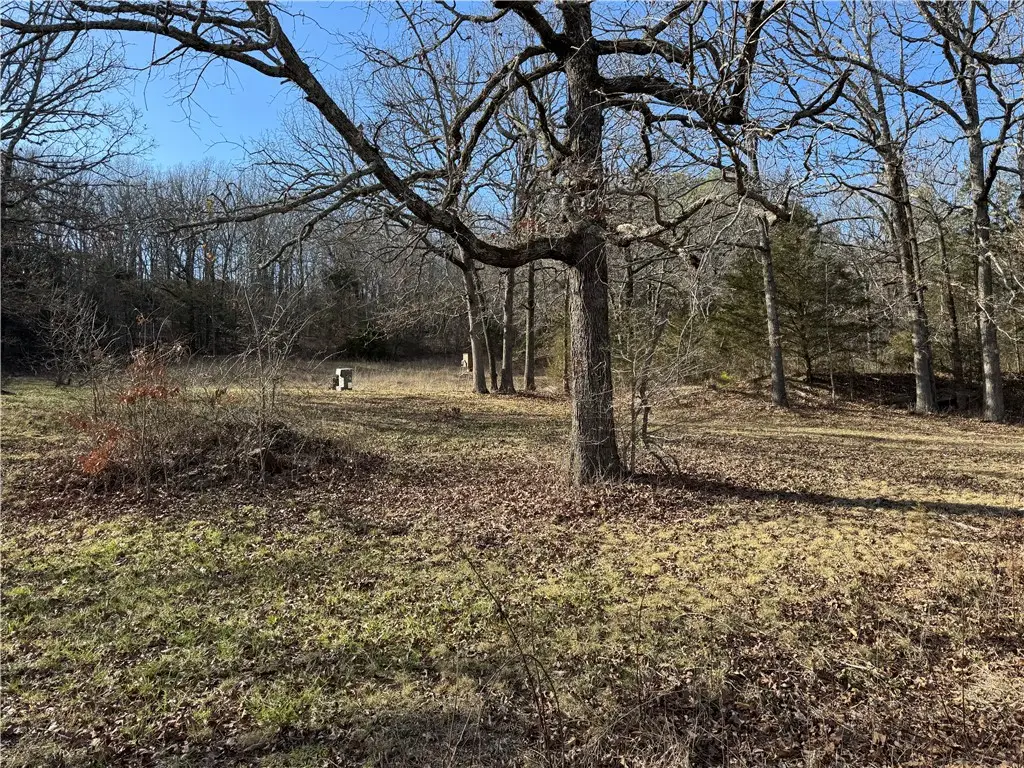 15451 Winn Creek Road, West Fork, AR 72774 - #1