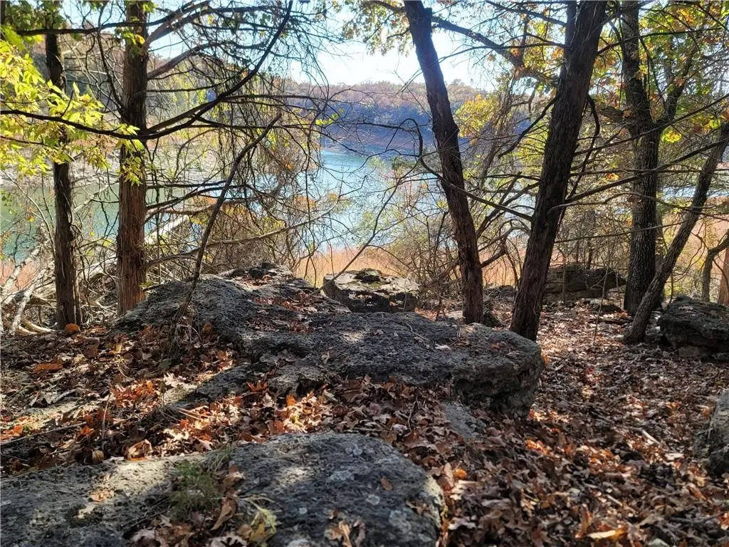 TBD Pilots Cove Lane, Yellville, AR 72687 - #1