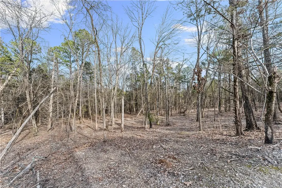 9172 Wedgewood Drive, Garfield, AR 72732 - #2