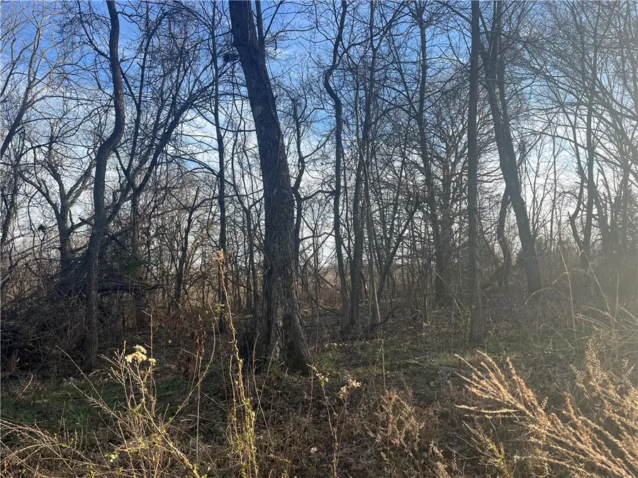 Rockingham Drive, Bella Vista, AR 72715 - #2