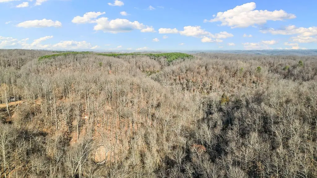 5641 Route K, Pineville, MO 64856 - #1