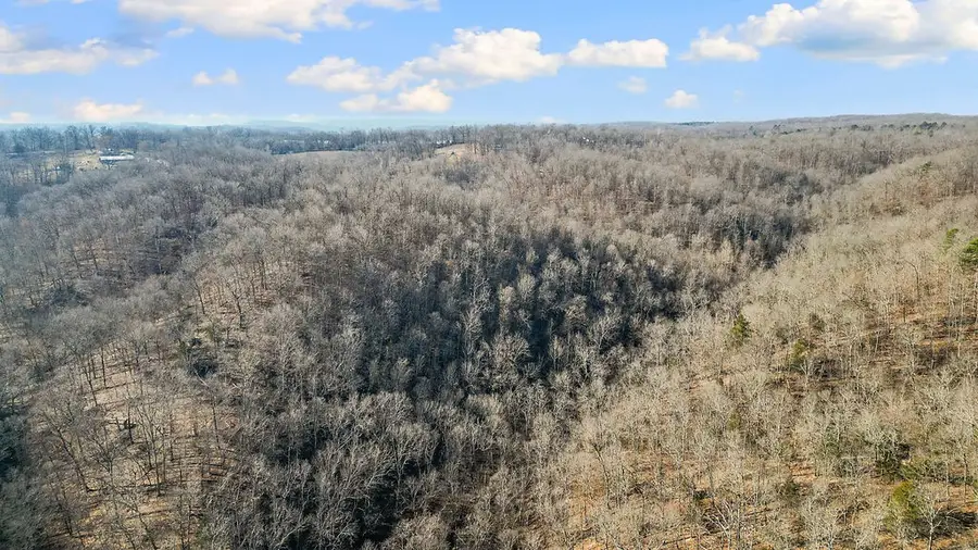 5641 Route K, Pineville, MO 64856 - #3