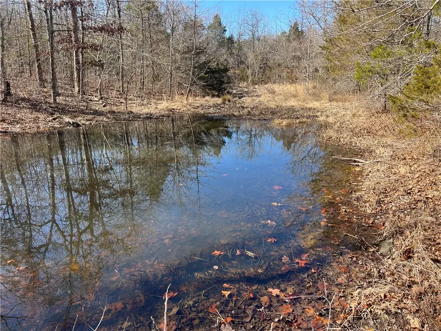 County Rd 972, Alpena, AR 72611 - #3