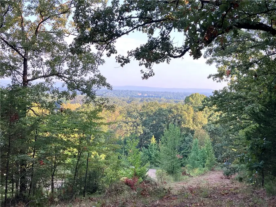 705 Cr-2291, Hartman, AR 72840 - #3