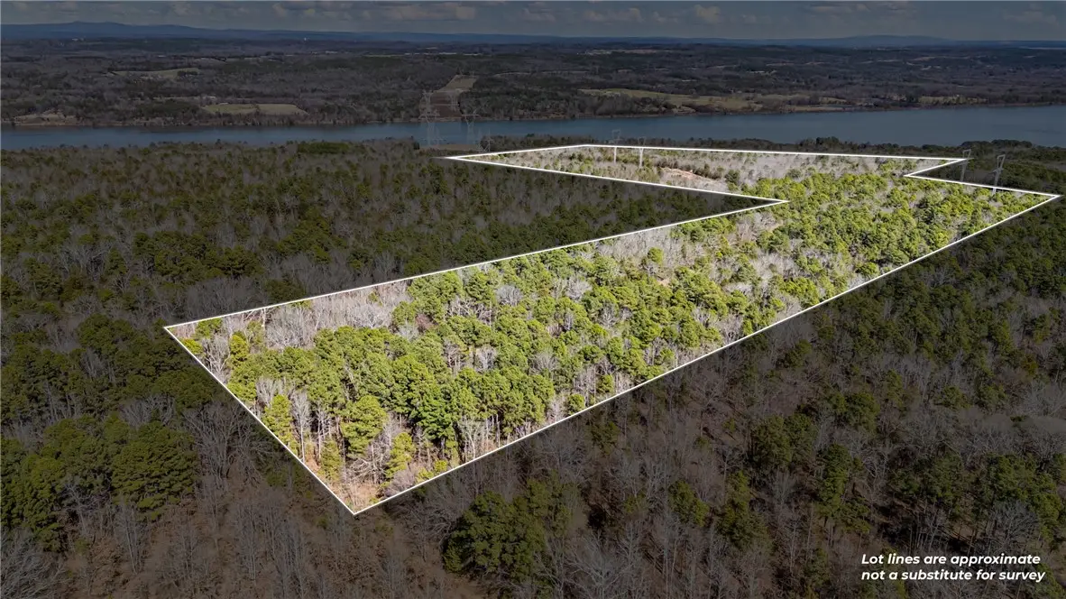 Flurry Road, Delaware, AR 72835 - #1