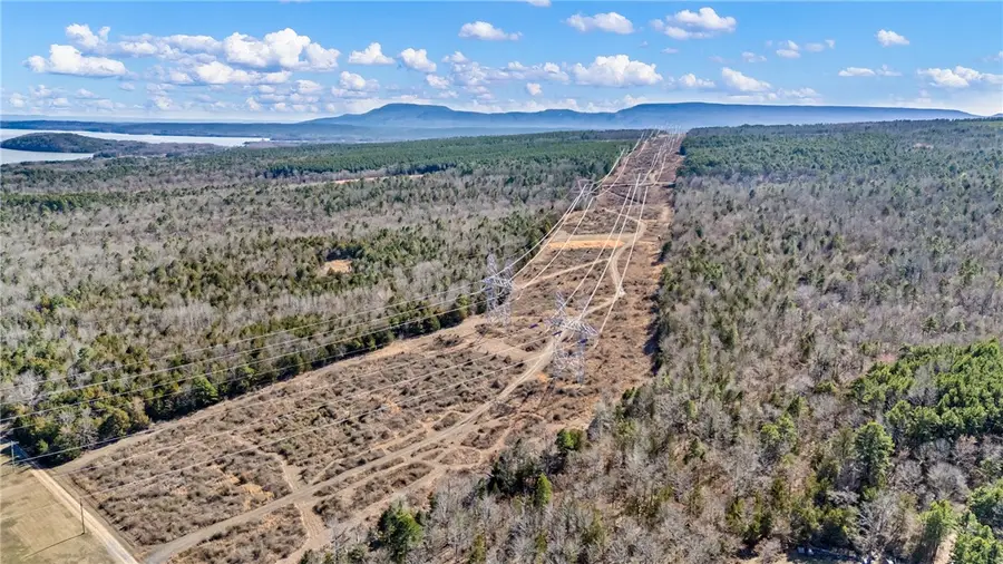 Flurry Road, Delaware, AR 72835 - #3