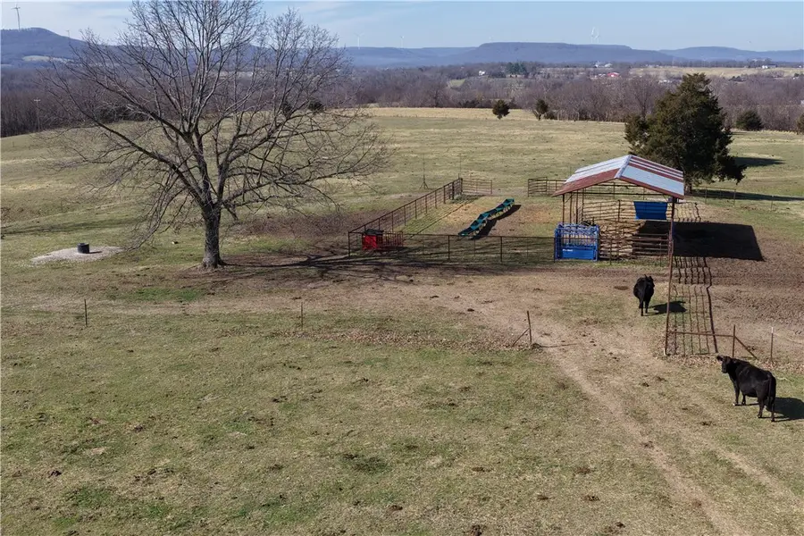 776 County Road 811, Green Forest, AR 72638 - #3