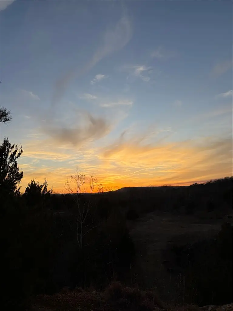 Brown Road, Morrilton, AR 72110 - #1