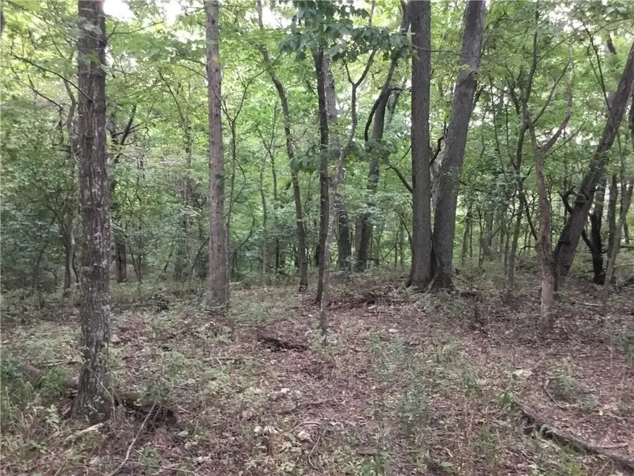 Arabian Drive Lots 426, 427, 428 Drive, Rogers, AR 72756 - #2