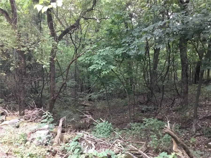 Arabian Drive Lots 426, 427, 428 Drive, Rogers, AR 72756 - #3