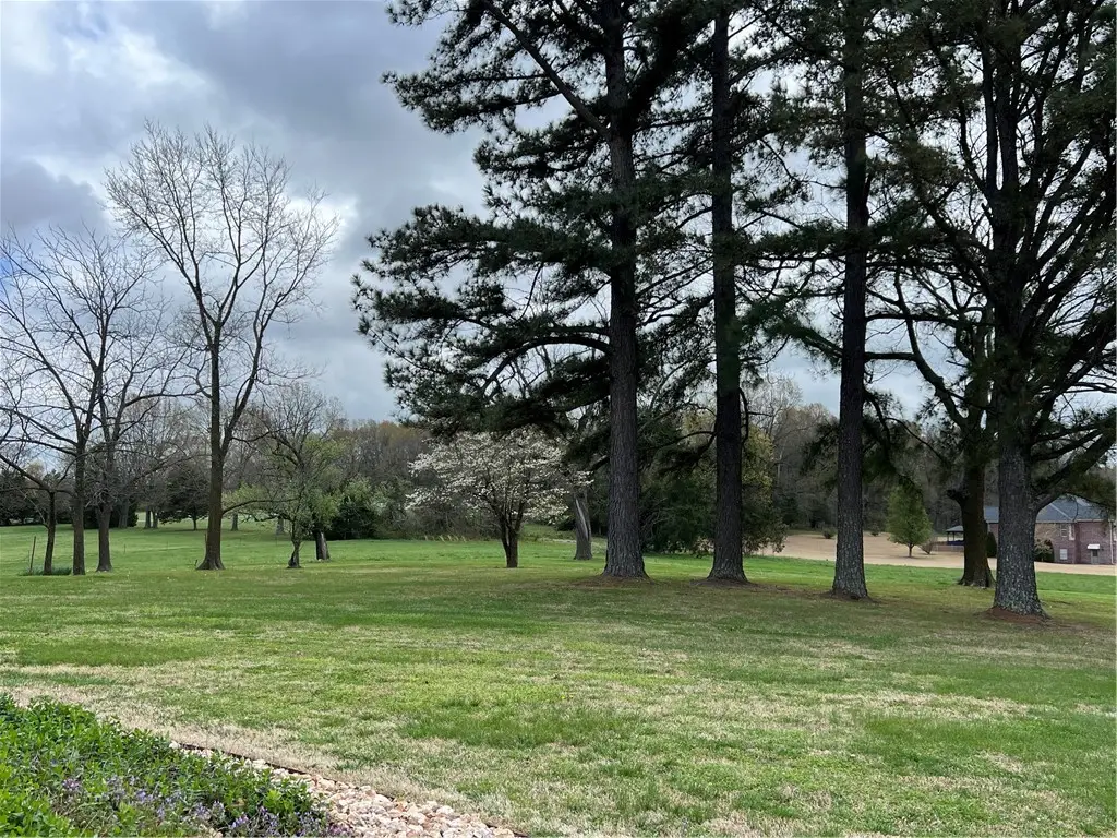 3113 Savannah Drive, Harrison, AR 72601 - #1