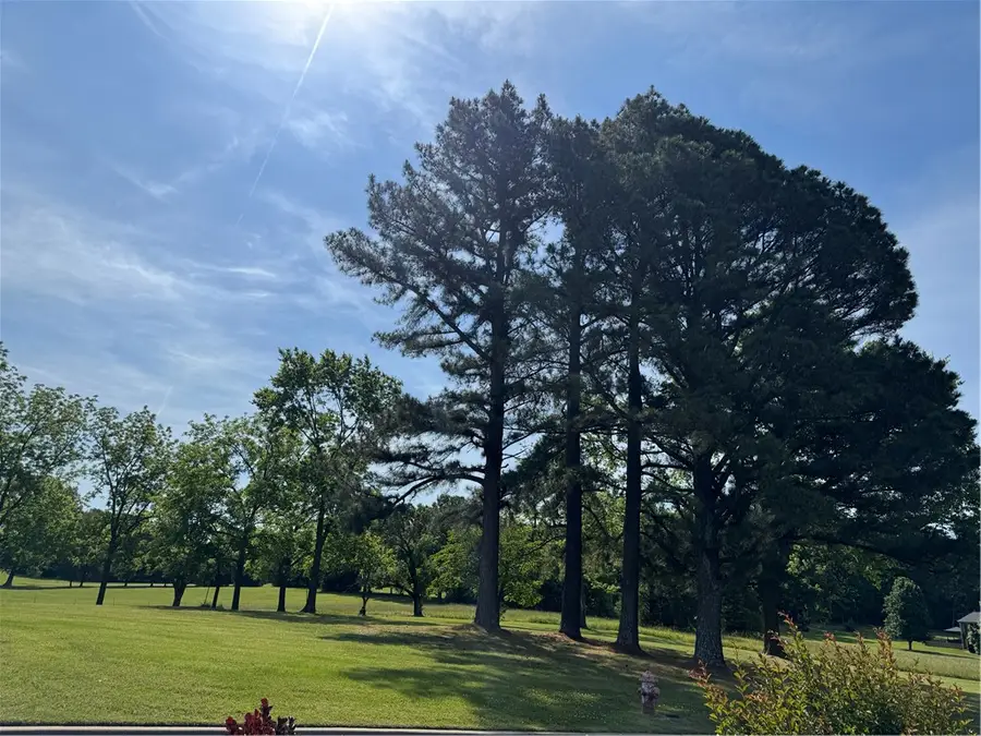 3113 Savannah Drive, Harrison, AR 72601 - #2
