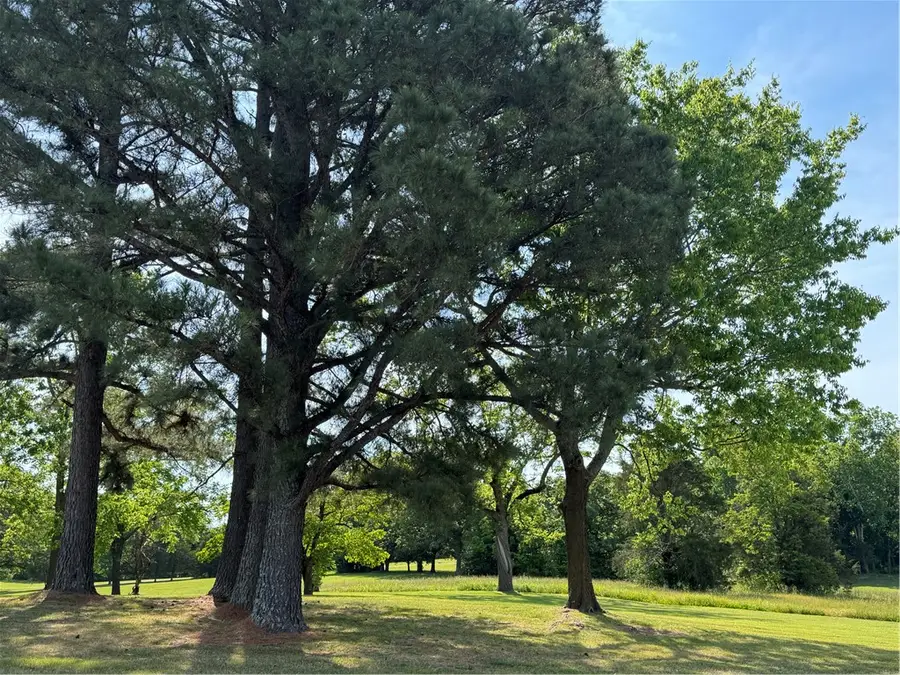 3113 Savannah Drive, Harrison, AR 72601 - #3