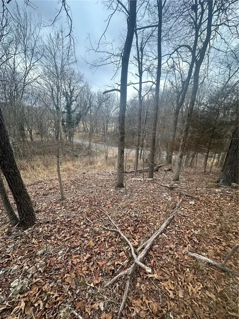 TBD Harmon Road, Fayetteville, AR 72704 - #3