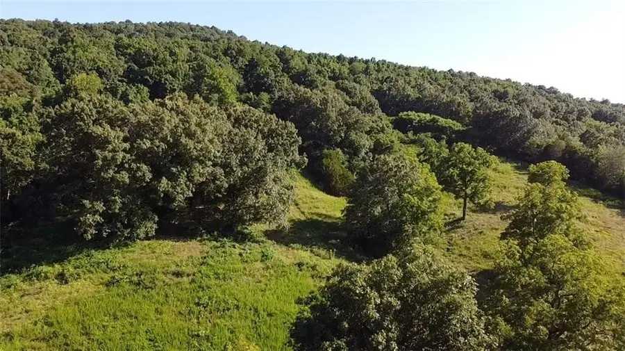 70 acres 412 Highway, Southeast Township, AR 72638 - #3