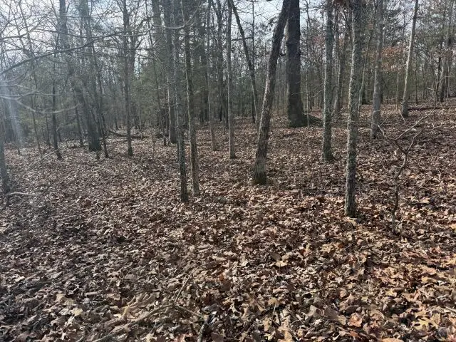 Tract 1 Mc 8003, Yellville, AR 72687 - #2