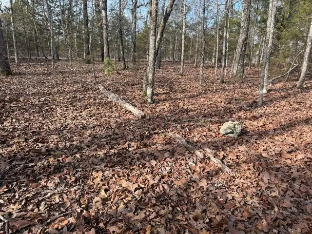 Tract 1 Mc 8003, Yellville, AR 72687 - #3