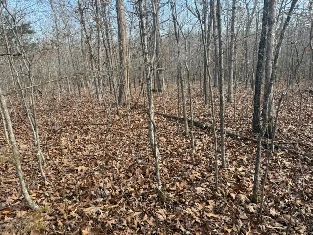 Tract 2 Mc 8003, Yellville, AR 72687 - #3