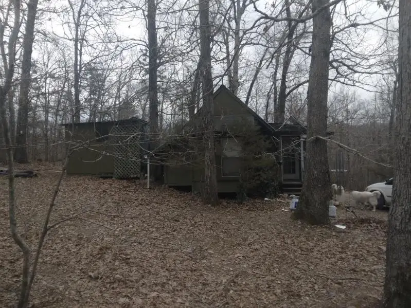 418 Wrinkle Road, Harriet, AR 72639 - #1