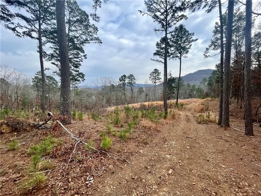 00 Nc 6870, Jasper, AR 72641 - #2