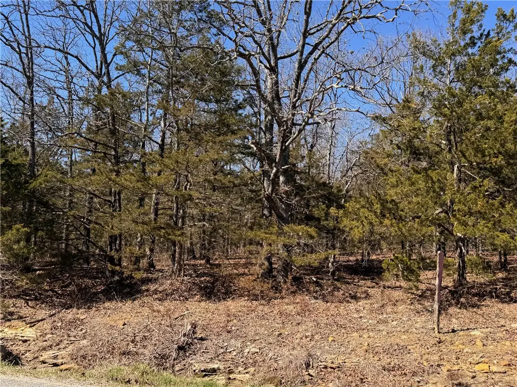 TBD Dunkard Rd. #1, Alpena, AR 72611 - #1