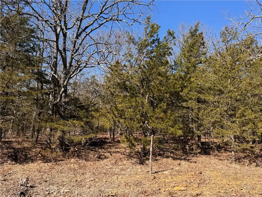 TBD Dunkard Rd. #1, Alpena, AR 72611 - #2