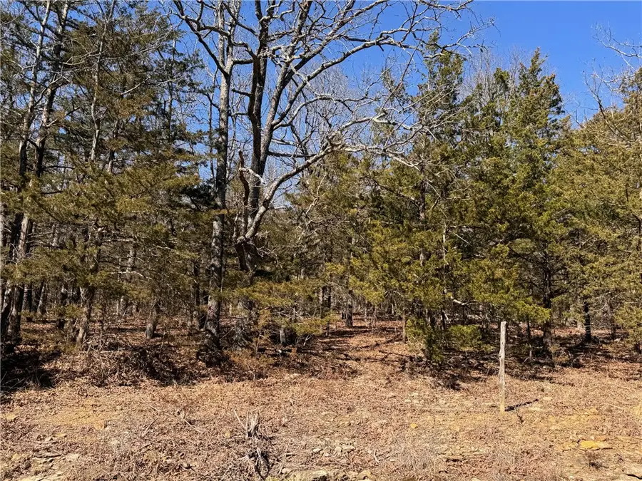 TBD Dunkard Rd. #1, Alpena, AR 72611 - #3