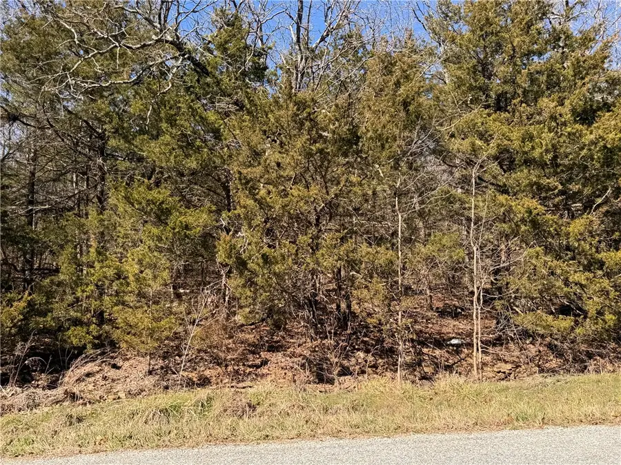 TBD #2 Dunkard Road, Harrison, AR 72601 - #2