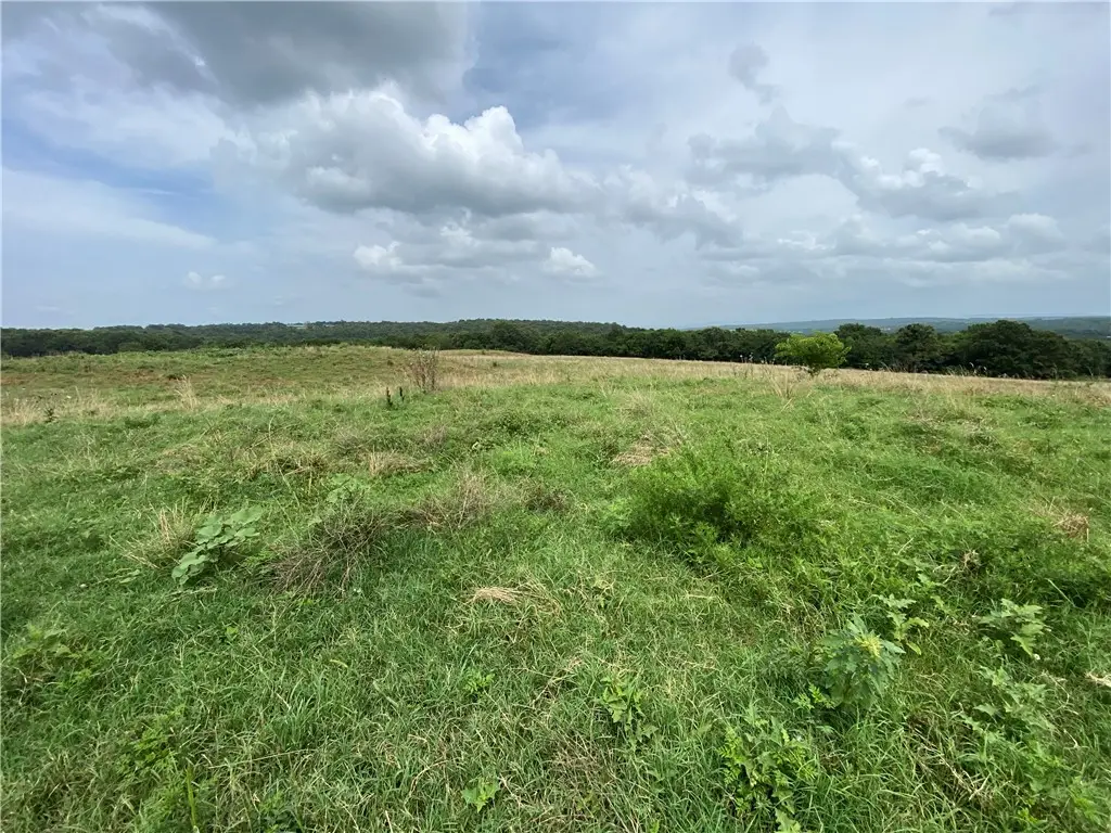 10176 Old Cincinnati Road, Lincoln, AR 72744 - #1