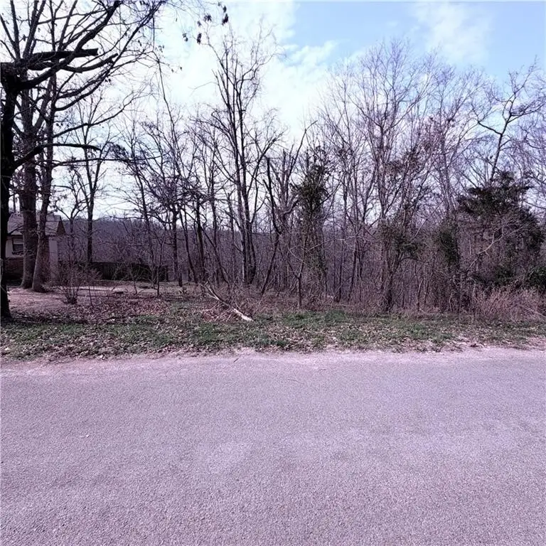 Hoyer Lane, Bella Vista, AR 72714 - #2