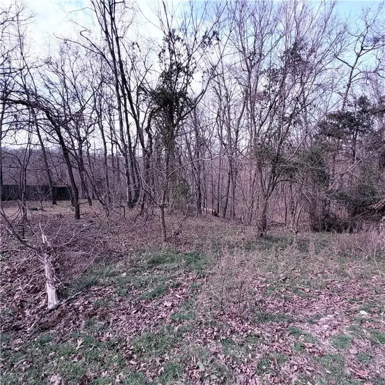 Hoyer Lane, Bella Vista, AR 72714 - #3