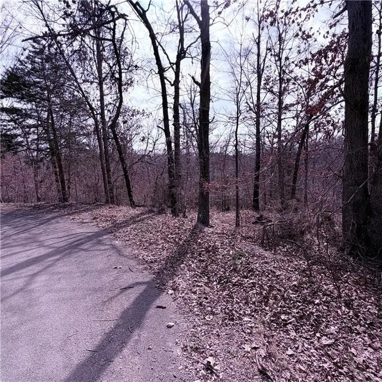 Lot 12 & 13 Hoyer Lane, Bella Vista, AR 72714 - #2