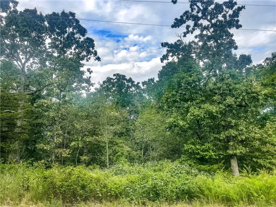 Strichen Drive, Bella Vista, AR 72715 - #3