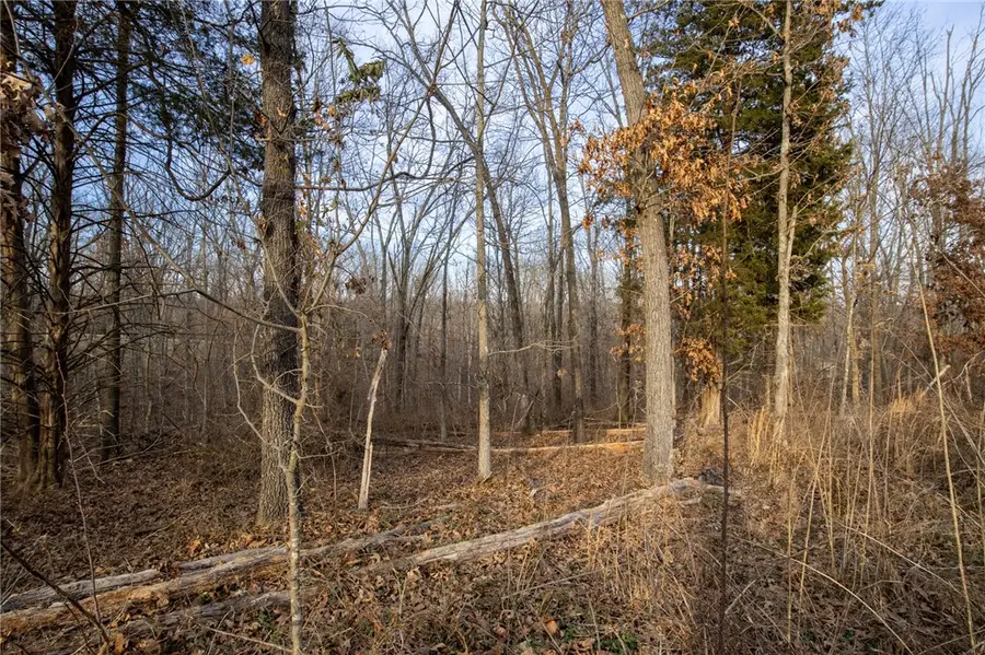 Tummell Drive, Bella Vista, AR 72715 - #3