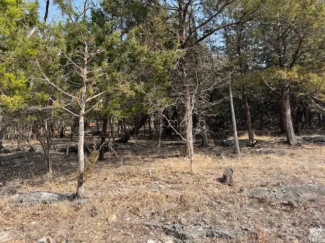 10 Thomas Circle, Holiday Island, AR 72631 - #2