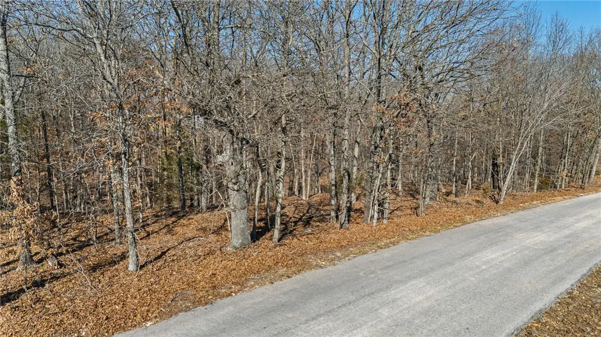 Lot 1 Tarbolten Lane, Bella Vista, AR 72715 - #1