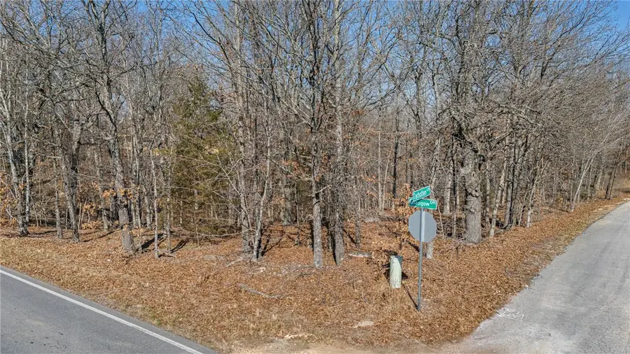 Lot 1 Tarbolten Lane, Bella Vista, AR 72715 - #2