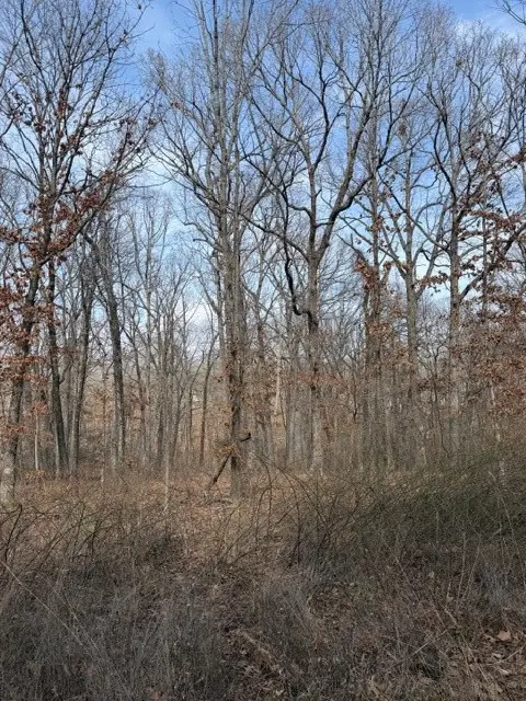 Carronbridge Lane, Bella Vista, AR 72715 - #1