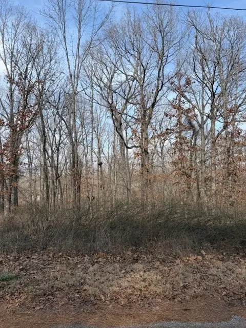 Carronbridge Lane, Bella Vista, AR 72715 - #3