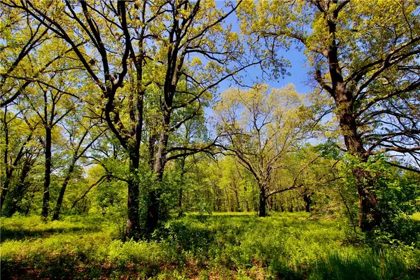 00 Garner Lane, Berryville, AR 72616