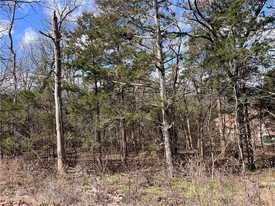 Hillside Drive, Eureka Springs, AR 72631 - #3