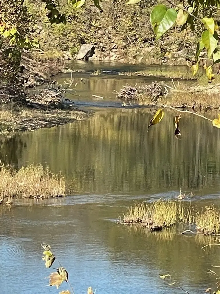 TBD Highway 103, Green Forest, AR 72638 - #1