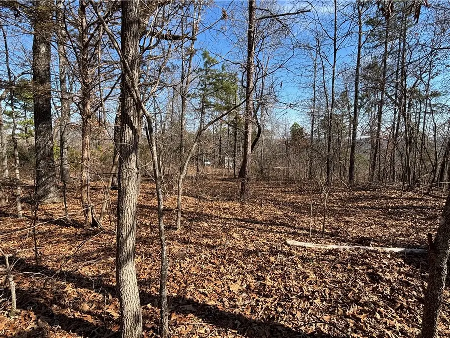 Oakland Road, Saint Joe, AR 72675 - #3