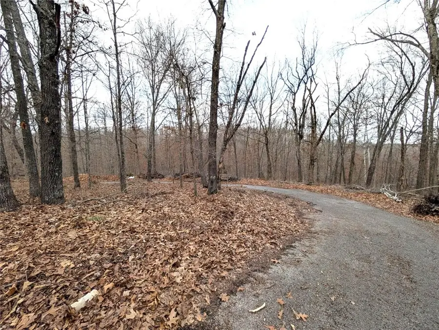Lot 7 Moulin Lane, Bella Vista, AR 72715 - #2