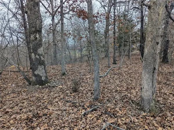 Littrell Drive, Bella Vista, AR 72714